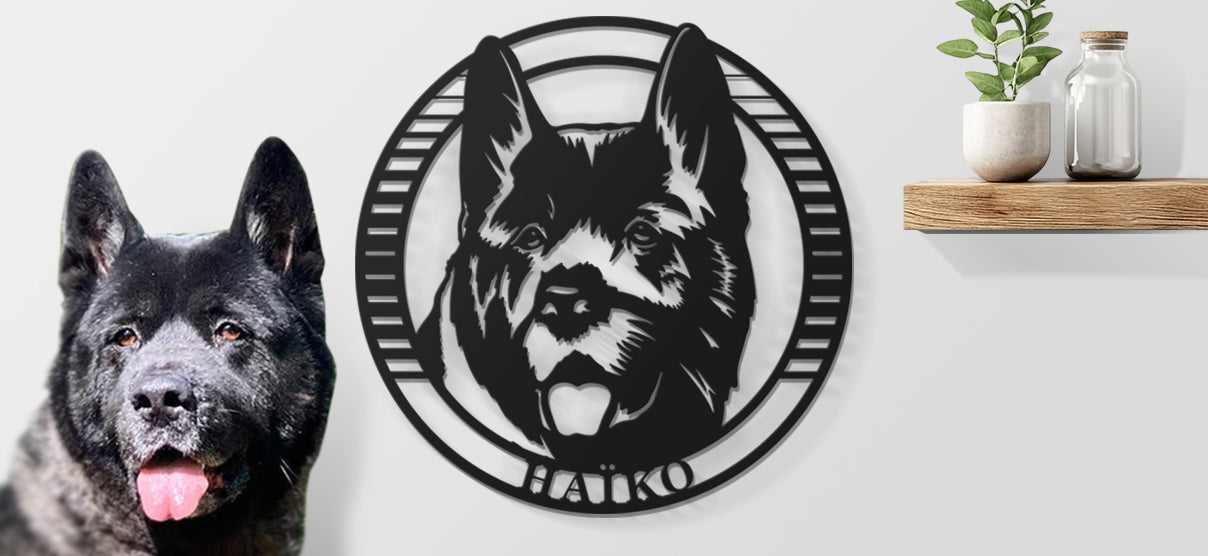 Un akita américain et une plaque en metal laqué noir à côté le représentant avec son nom "Haïko"