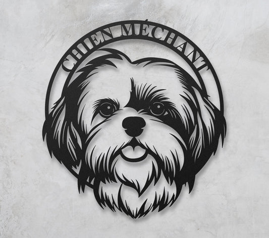 Shih tzu 2